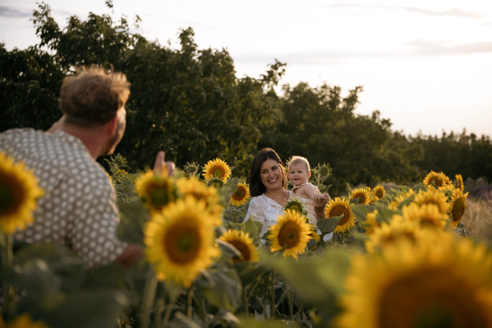 Papa et maman jouent avec leur bébé dans les tournesols