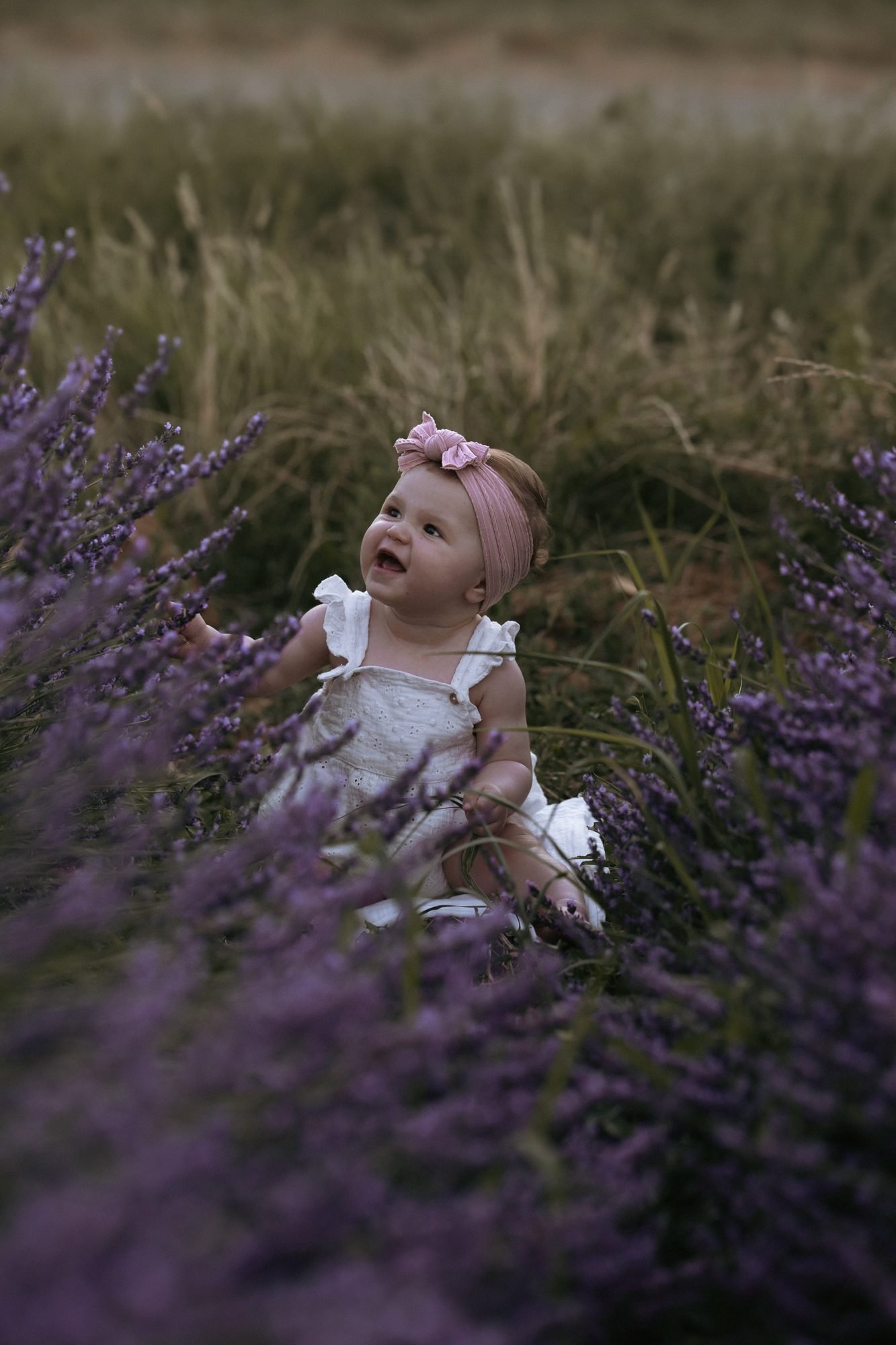 Bébé assis dans les rangs de lavande, coiffé d'un headband rose