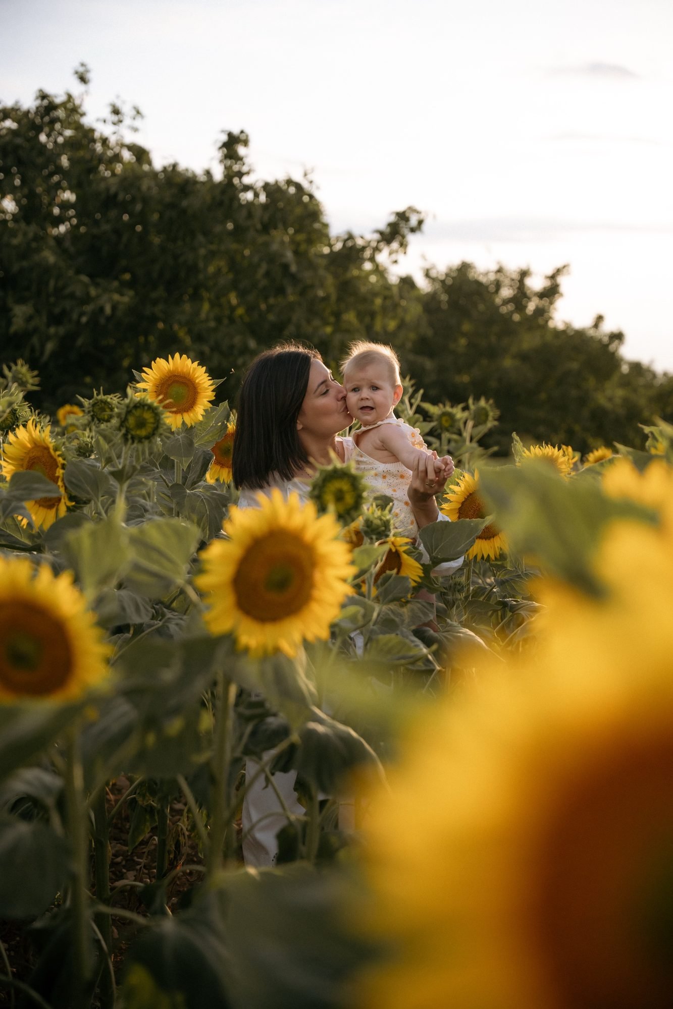 Famille au coucher du soleil dans un champ de tournesols
