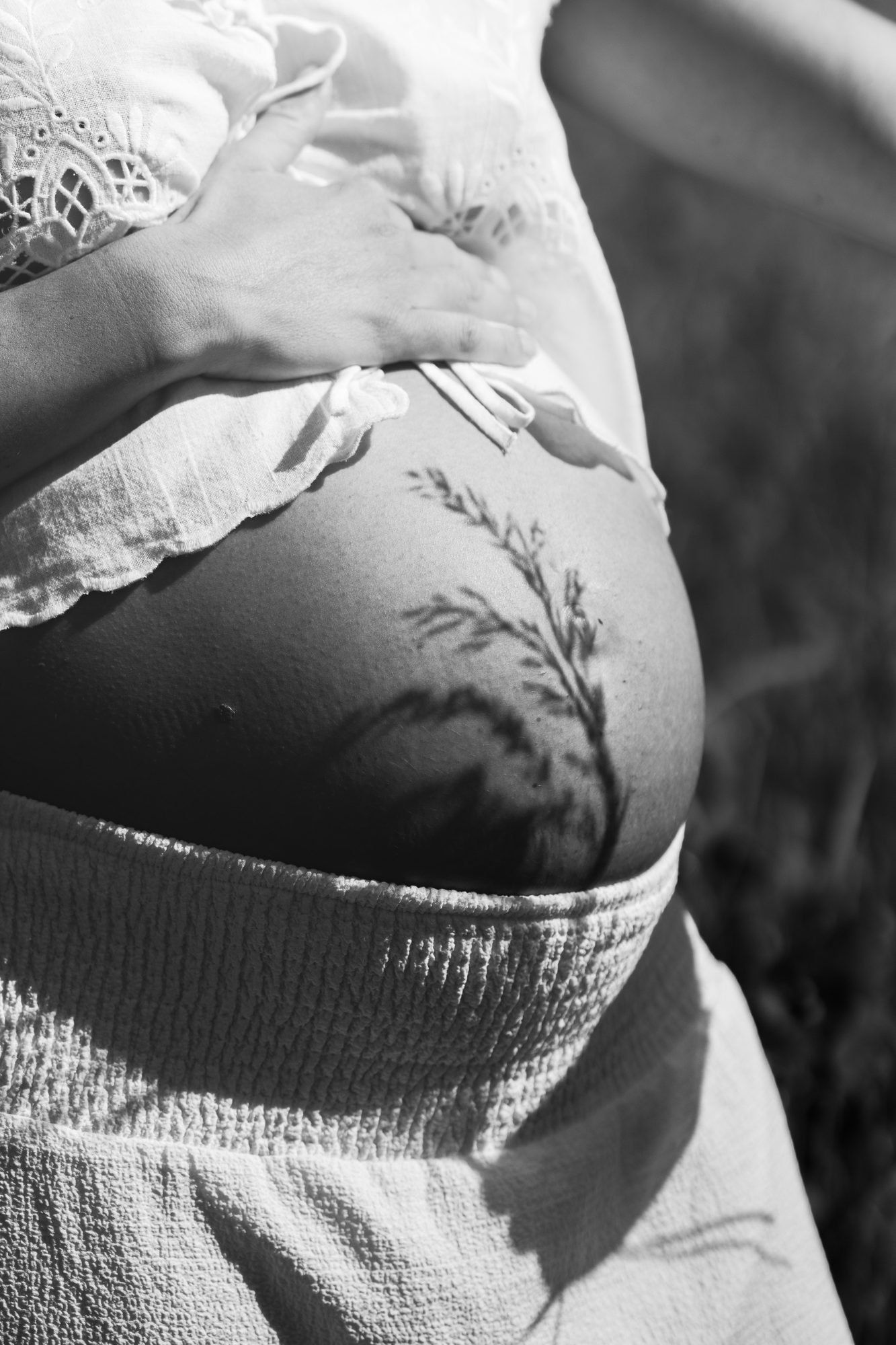 Ventre de femme enceinte en noir et blanc, ombre de feuillage sur la peau
