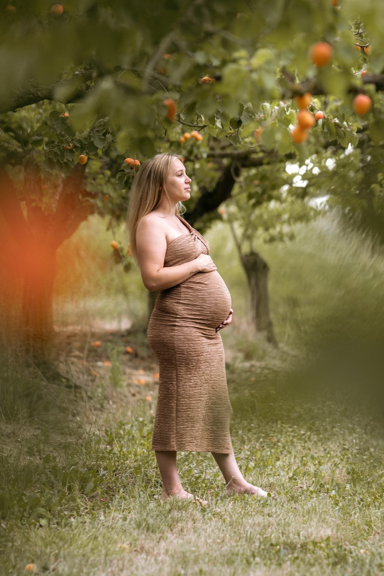 Portrait de femme enceinte en contre-jour sous les arbres