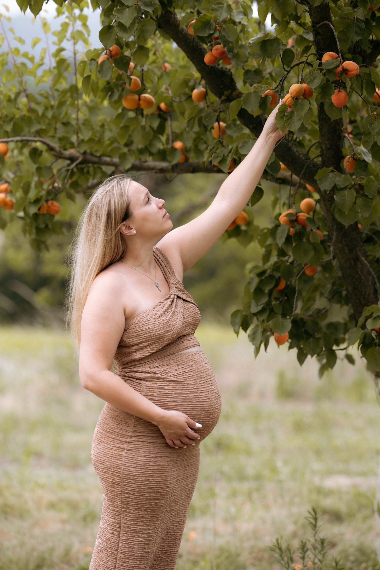 Couple tendre dans un pré fleuri, femme enceinte